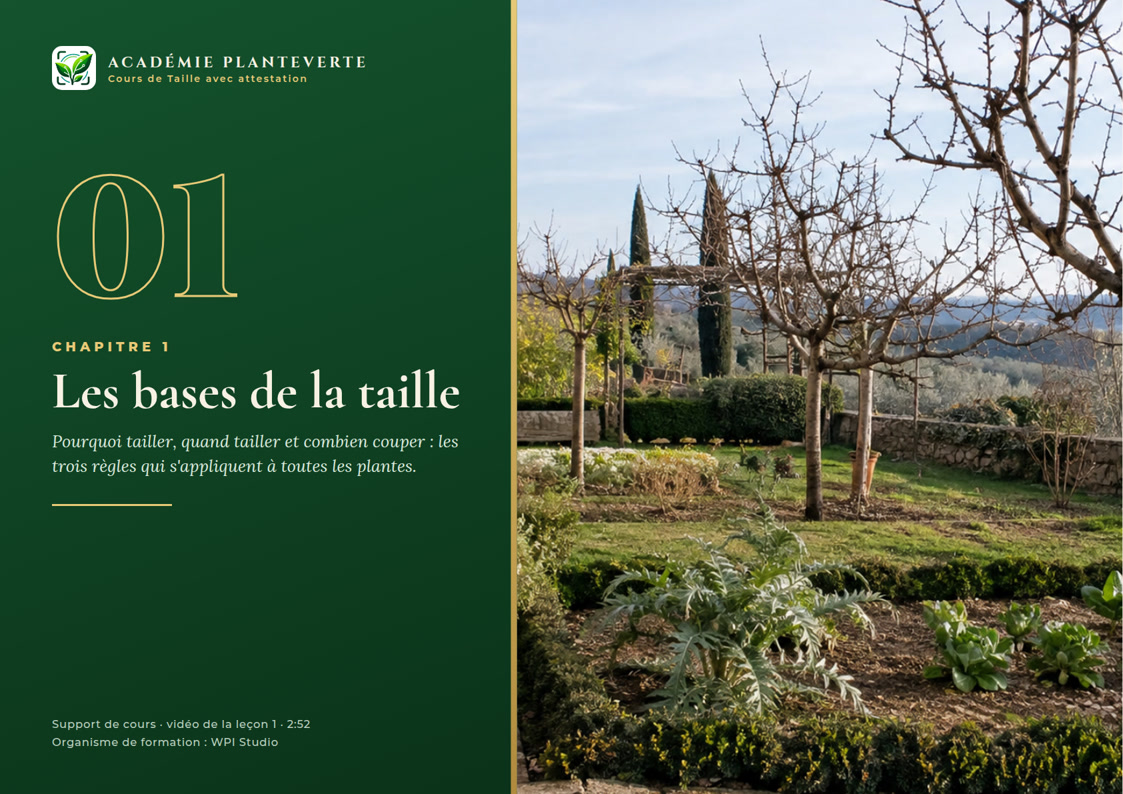 Couverture du chapitre 1