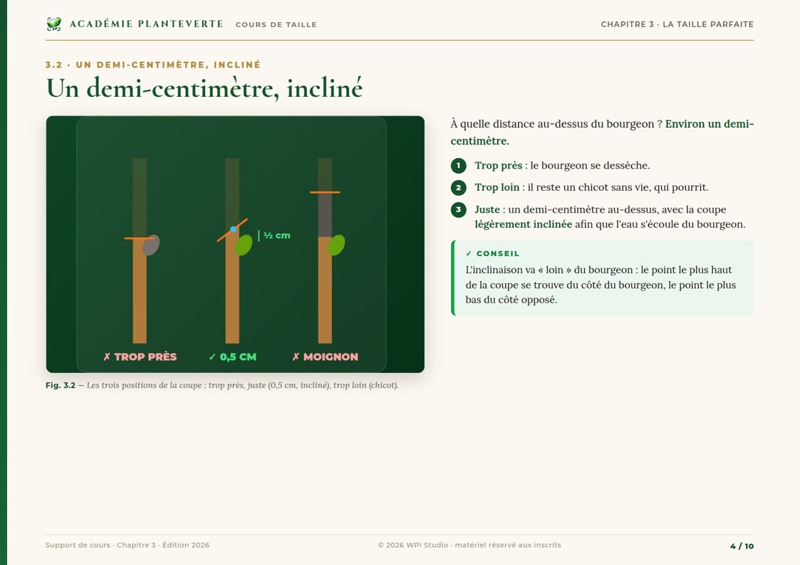 Page du chapitre 3 : un demi-centimètre, incliné