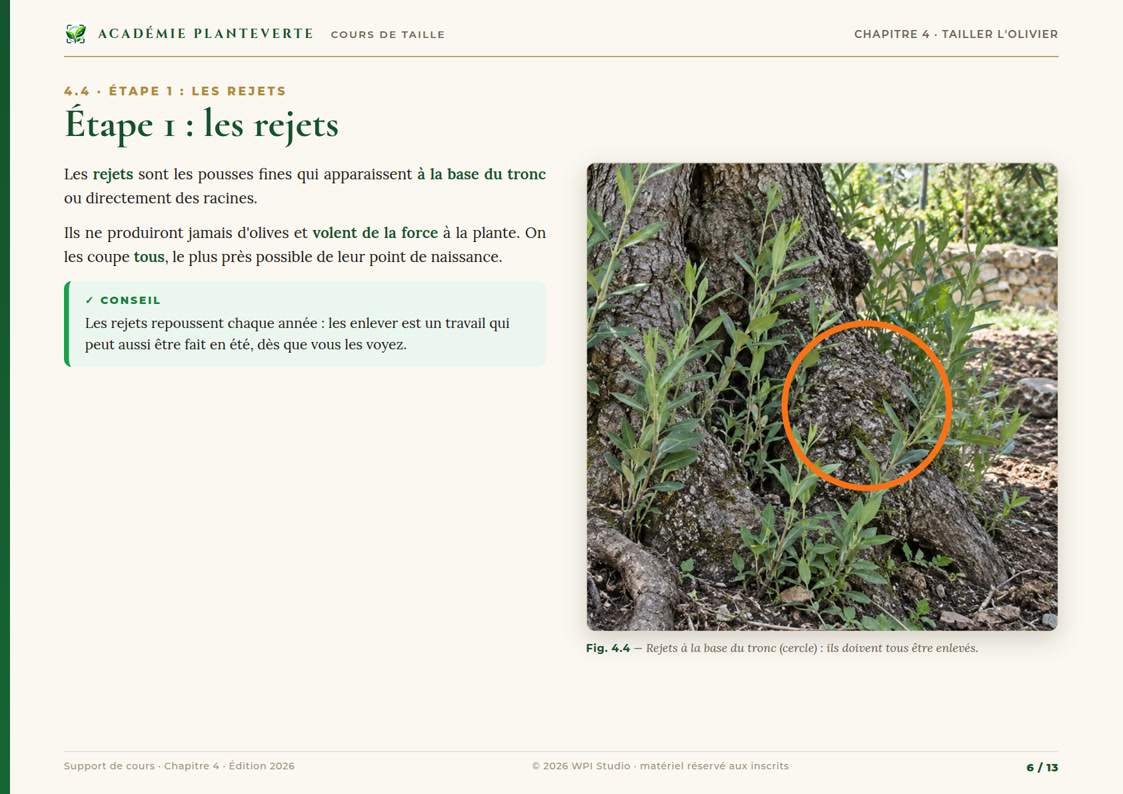 Page du chapitre 4 : les rejets