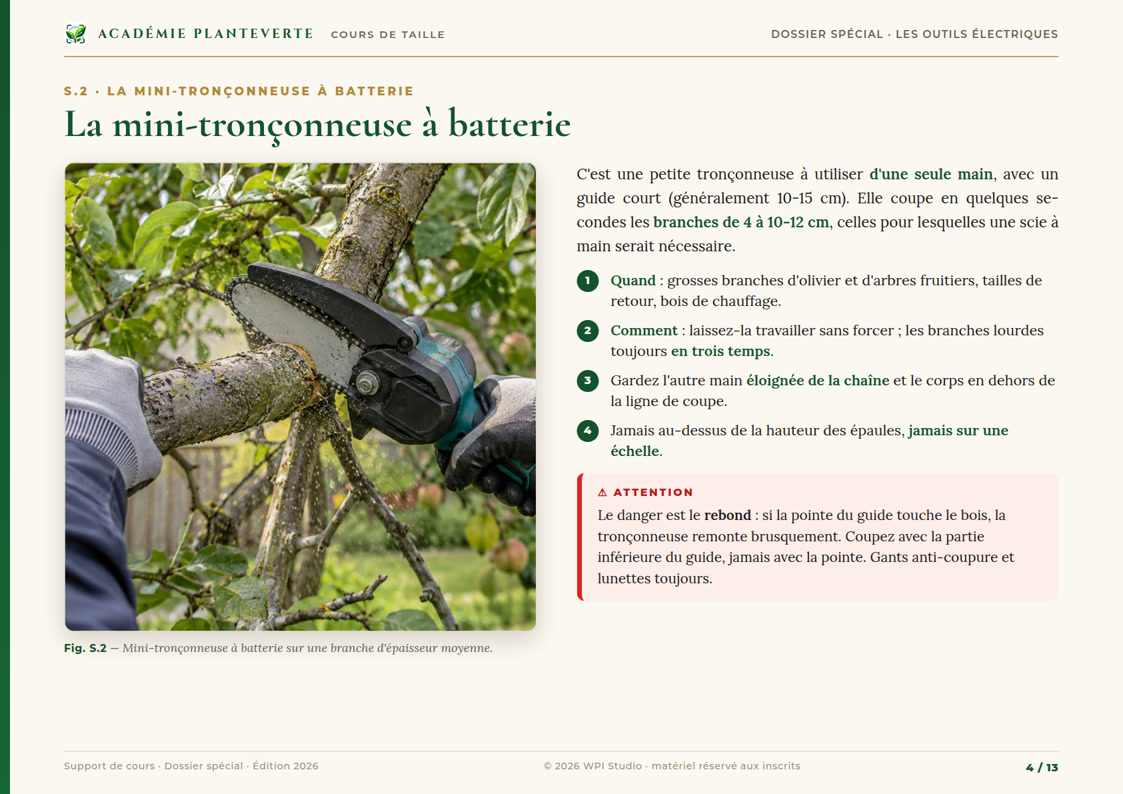 Page du dossier spécial : la mini-tronçonneuse à batterie