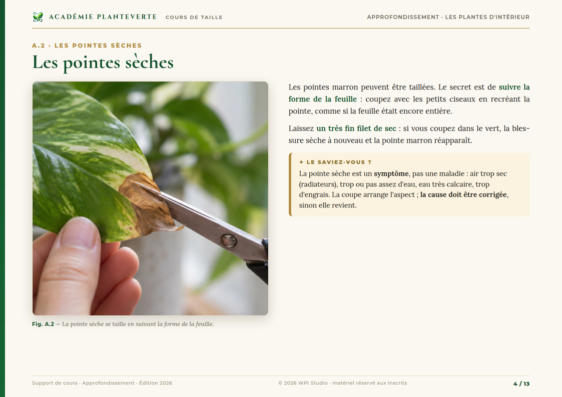 Page d'approfondissement : les pointes sèches