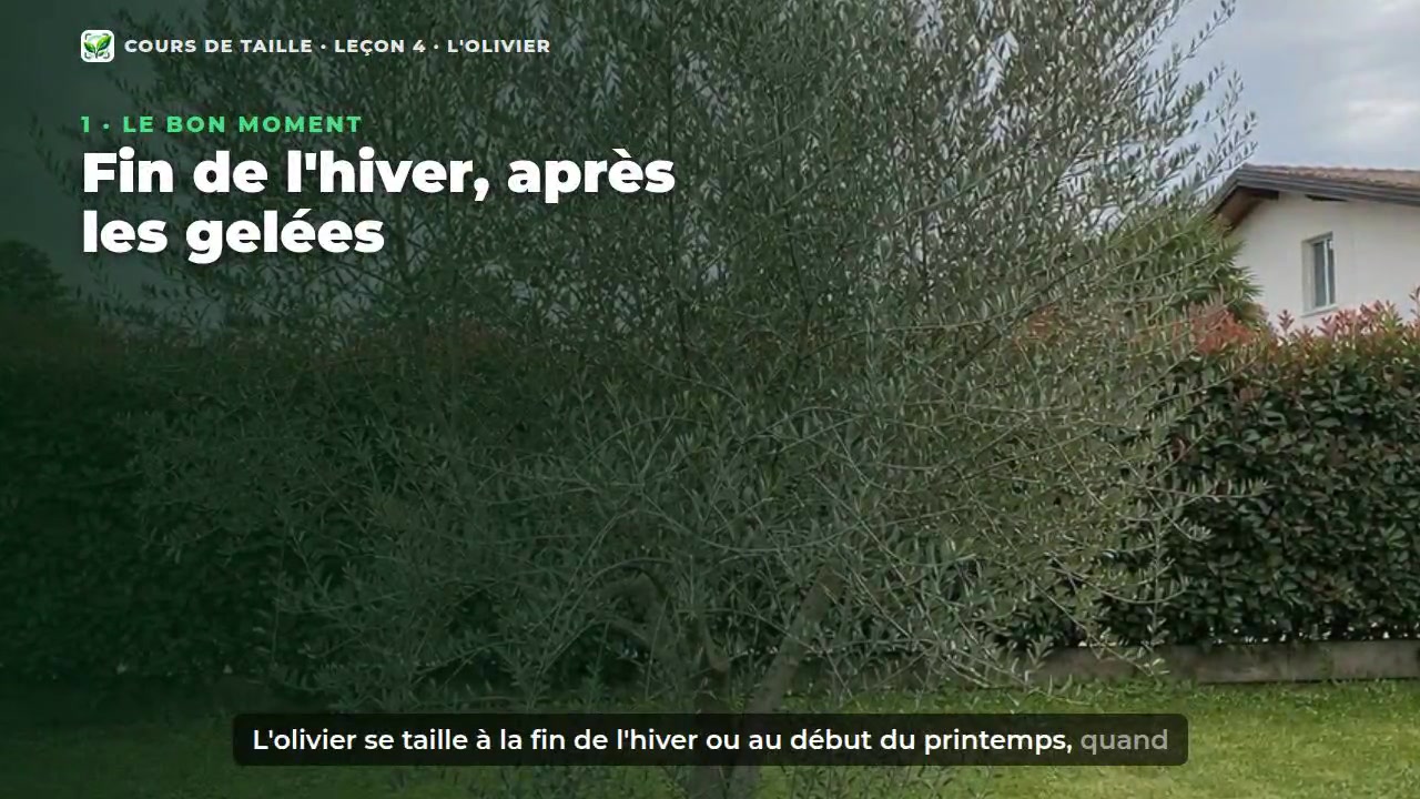 Une leçon vidéo du cours